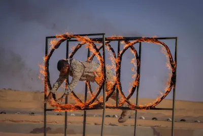 اخبار اليمن الان بالصور عبدالرب الشدادي بمشاركة الطيران اخبار اليمن الان الحدث اليوم عاجل