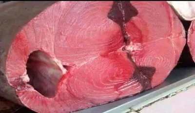 اخبار اليمن الان الصرف مرتفعة والمواطنون التحسن التجار اخبار اليمن الان الحدث اليوم عاجل