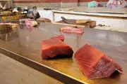 اخبار اليمن الان الحدث اليوم عاجل كريتر إسكاي