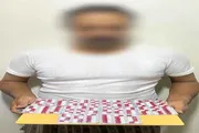 عدن تايم اخبار اليمن الان مكافحة المخدرات يخاطب السواحل التهريب اخبار اليمن الان الحدث اليوم عاجل عدن تايم