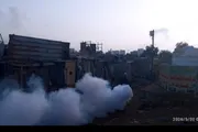 عرب تايم اخبار اليمن الان استمرار الضبابي لمكافحة البعوض الشيخ اخبار اليمن الان الحدث اليوم عاجل عرب تايم