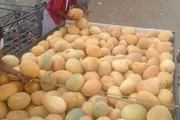 اخبار اليمن الان الحدث اليوم عاجل كريتر إسكاي