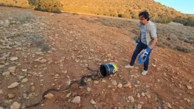 اخبار اليمن الان يجتاح ليبيا إطلاق الكوبرا الناقة اخبار اليمن الان الحدث اليوم عاجل