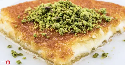 اخبار اليمن الان مجهرية بكتيريا التهام البحار المتجمدة اخبار اليمن الان الحدث اليوم عاجل