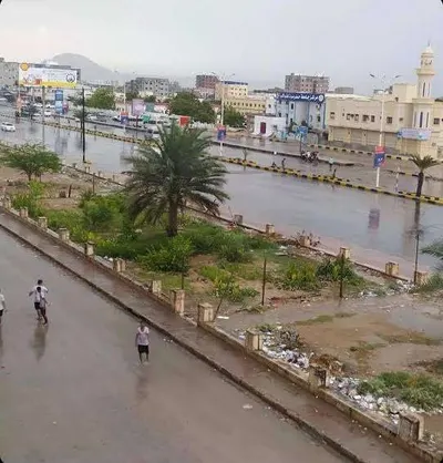 اخبار اليمن الان أنباء أجنبي تحصيل ضريبة القات اخبار اليمن الان الحدث اليوم عاجل