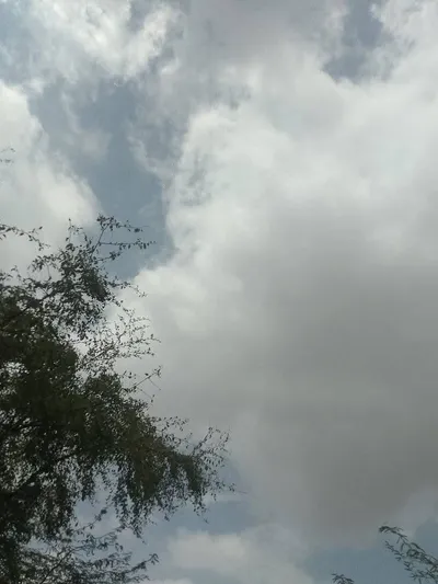 اخبار اليمن الان أجواء غائمة شرق الحديدة صور اخبار اليمن الان الحدث اليوم عاجل