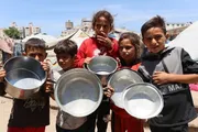 وكالة الصحافة اليمنية اخبار اليمن الان احتلال إسرائيل بوابة المساعدات الإنسانية اخبار اليمن الان الحدث اليوم عاجل وكالة الصحافة اليمنية