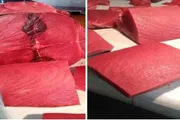 صحيفة المرصد اخبار اليمن الان أسعار الأسماك الأربعاء بالعاصمة عدن اخبار اليمن الان الحدث اليوم عاجل صحيفة المرصد