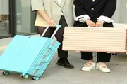 عدن تايم اخبار اليمن الان دراسة صادمة عجلات بكتيريا المرحاض اخبار اليمن الان الحدث اليوم عاجل عدن تايم
