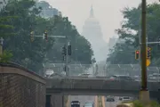 عاجل السعودية اخبار اليمن الان الغابات الولايات المتحدة الضباب واشنطن اخبار اليمن الان الحدث اليوم عاجل عاجل السعودية