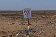 اخبار اليمن الان الحدث اليوم عاجل كريتر إسكاي