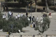 صحيفة الثورة صنعاء اخبار اليمن الان تصعيد العدو الإسرائيلي لمستوطنة جديدة اخبار اليمن الان الحدث اليوم عاجل صحيفة الثورة صنعاء