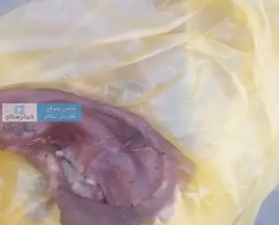 اخبار اليمن الان شجار ينتهي مواطن زنجبار بابين اخبار اليمن الان الحدث اليوم عاجل