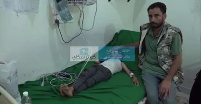 اخبار اليمن الان ومطالبات بحملات لمكافحة الكلاب الضالة اخبار اليمن الان الحدث اليوم عاجل