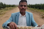 كريتر إسكاي اخبار اليمن الان العولقي تفاصيل استئجار واستغلال التجاري اخبار اليمن الان الحدث اليوم عاجل كريتر إسكاي