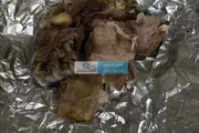 كريتر إسكاي اخبار اليمن الان صدمة زبون شراء قطعتان اللحم اخبار اليمن الان الحدث اليوم عاجل كريتر إسكاي
