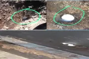 اخبار اليمن الان الحدث اليوم عاجل صدى الساحل