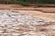 عدن تايم اخبار اليمن الان مسؤول حكومي حضرموت مشروع الخراب اخبار اليمن الان الحدث اليوم عاجل عدن تايم