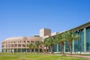 مارب اليوم اخبار اليمن الان خوارزمية سعودية مستوحاة الطيور تكاليف اخبار اليمن الان الحدث اليوم عاجل مارب اليوم