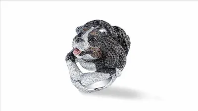 اخبار اليمن الان الجرأة الرقي تصاميم chopard والتميز اخبار اليمن الان الحدث اليوم عاجل