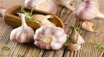 اخبار اليمن الان يحدث لجسمك تناول ثوم يوميا اخبار اليمن الان الحدث اليوم عاجل