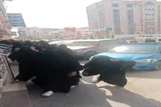 عرب تايم اخبار اليمن الان وتقارير المكلا المشاركات الوصول المظاهرة اخبار اليمن الان الحدث اليوم عاجل عرب تايم