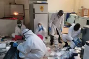 صحيفة الثورة صنعاء اخبار اليمن الان مخلفات التحصين والأدوية البيطرية الصلاحية اخبار اليمن الان الحدث اليوم عاجل صحيفة الثورة صنعاء