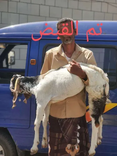 اخبار اليمن الان الحدث اليوم عاجل 