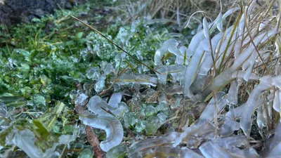 اخبار اليمن الان الأرصاد صقيع متوقع أجزاء المرتفعات اخبار اليمن الان الحدث اليوم عاجل