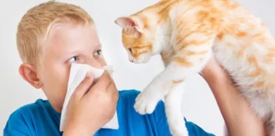 اخبار اليمن الان استشاري التحسس الحيوانات مناعي منضبط اخبار اليمن الان الحدث اليوم عاجل