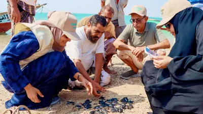 اخبار اليمن الان الحدث اليوم عاجل 