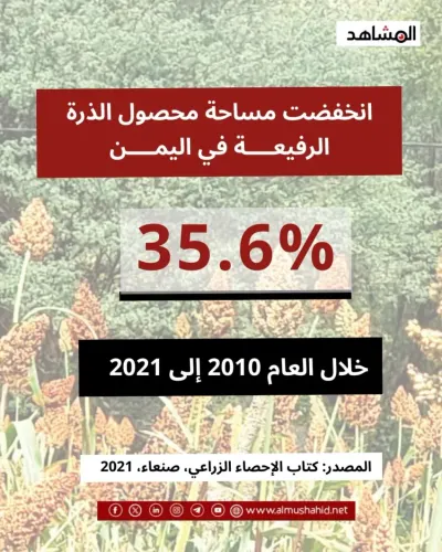 اخبار اليمن الان الذرة الرفيعة التغيرات المناخية اليمن اخبار اليمن الان الحدث اليوم عاجل