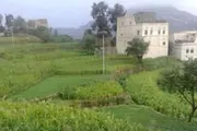 اخبار اليمن الان الحدث اليوم عاجل كريتر إسكاي