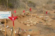 سبأ نيوز اخبار اليمن الان مسام ينزع وذخيرة الأسبوع الأول اخبار اليمن الان الحدث اليوم عاجل سبأ نيوز