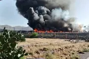 اخبار اليمن الان الحدث اليوم عاجل وكالة الصحافة اليمنية