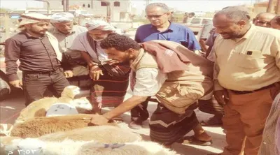 اخبار اليمن الان مدير الماشية لمتابعة انخفاض الأسعار اخبار اليمن الان الحدث اليوم عاجل