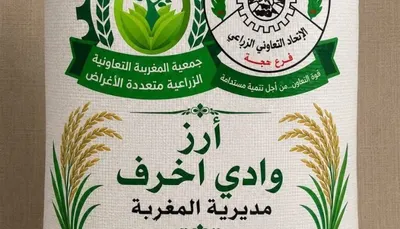 اخبار اليمن الان وتفاصيل محصول هيمنة الاستيراد الخارجي اخبار اليمن الان الحدث اليوم عاجل