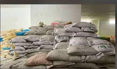 اخبار اليمن الان ملابسات البرازيلي مسؤوليتها إجراءات الإفراج اخبار اليمن الان الحدث اليوم عاجل