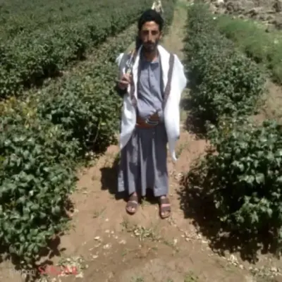 اخبار اليمن الان الجريمة الرابعة العام عصابات مسلحة اخبار اليمن الان الحدث اليوم عاجل