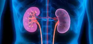 اخبار اليمن الان مشروبات طبيعية لتنقية الجسم وظائف اخبار اليمن الان الحدث اليوم عاجل