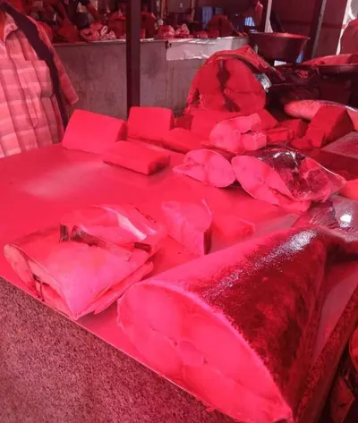 اخبار اليمن الان اسعار السمك الاثنين بعدن اخبار اليمن الان الحدث اليوم عاجل