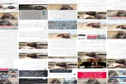 عدن تايم اخبار اليمن الان إعلامية تنقلب القائد الحوشبي الحواشب اخبار اليمن الان الحدث اليوم عاجل عدن تايم