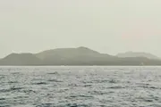 صحيفة المرصد اخبار اليمن الان الحـ ـوثي يهدد المندب حنيش اخبار اليمن الان الحدث اليوم عاجل صحيفة المرصد