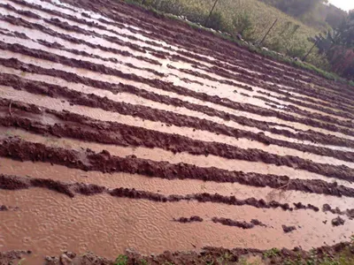 اخبار اليمن الان سيول وغيث غزير ينعش إب اخبار اليمن الان الحدث اليوم عاجل