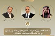 وزير الخارجية المصري يبحث مع نظيريه السعودي والإيراني...
