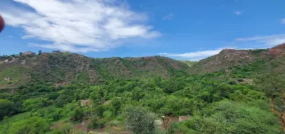 اخبار اليمن الان تعز وادي متنفس طبيعي للزوار اخبار اليمن الان الحدث اليوم عاجل