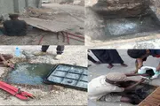 عرب تايم اخبار اليمن الان اخبار وتقارير استمرار مديرية التواهي اخبار اليمن الان الحدث اليوم عاجل عرب تايم