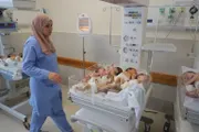 وكالة الصحافة اليمنية اخبار اليمن الان ارتفاع لتشوهات المواليد والولادات المبكرة اخبار اليمن الان الحدث اليوم عاجل وكالة الصحافة اليمنية