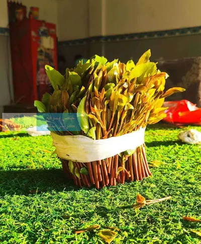 اخبار اليمن الان بسعر تاريخي بعدن قليل صورة اخبار اليمن الان الحدث اليوم عاجل