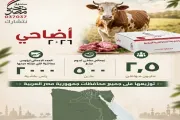 يمن برس اخبار اليمن الان صندوق حقيقة مليونان يشهدون التاريخ اخبار اليمن الان الحدث اليوم عاجل يمن برس